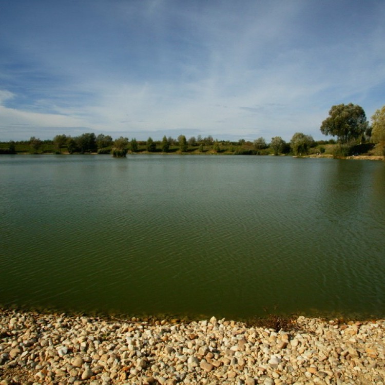 Fishfarm Zsennye #859