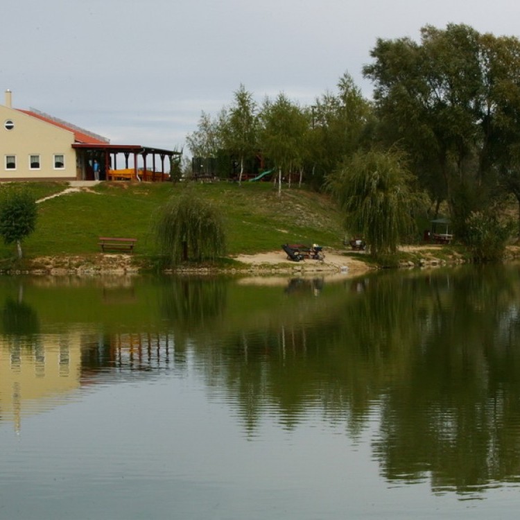 Fishfarm Zsennye #867