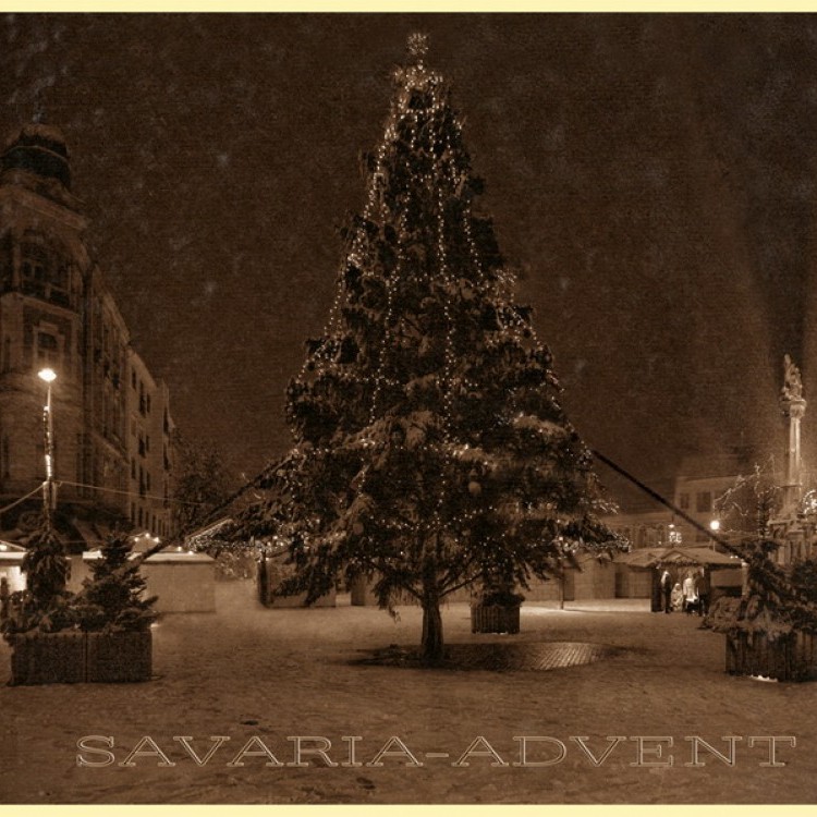 SAVARIA #942