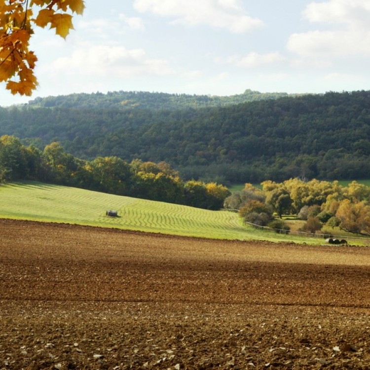 Landscape #1073