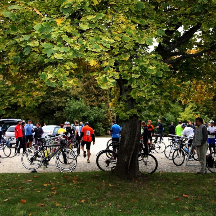 CYCLING  AT-HU Szombathely #2519