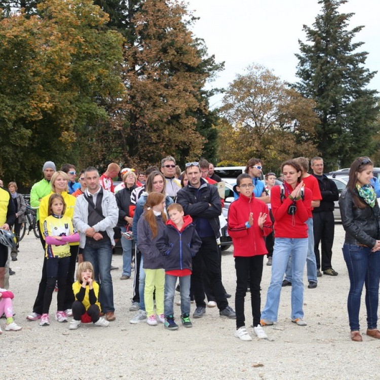 CYCLING  AT-HU Szombathely #2706