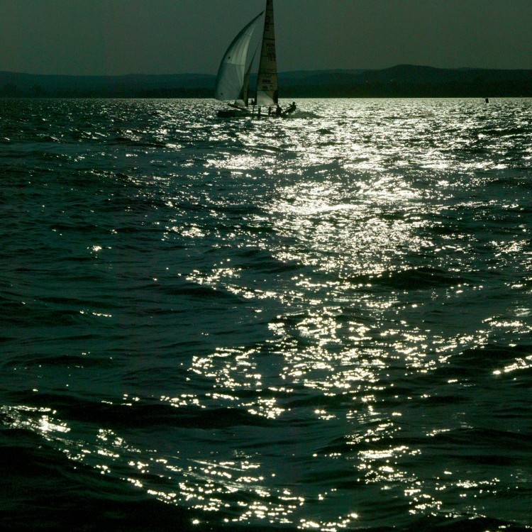 Sailing #283