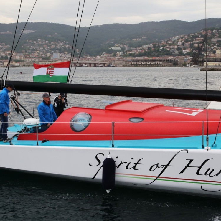 Spirit of Hungary  Fa Nándor #4084