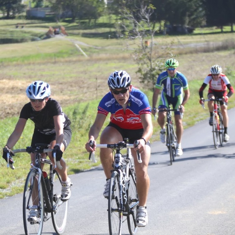 CYCLING AT-HU Epcos Cup 2014 #4556