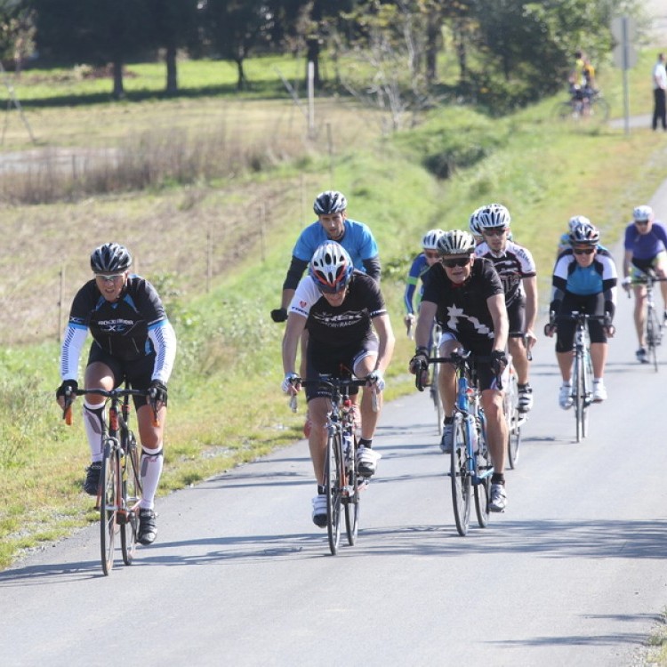 CYCLING AT-HU Epcos Cup 2014 #4575