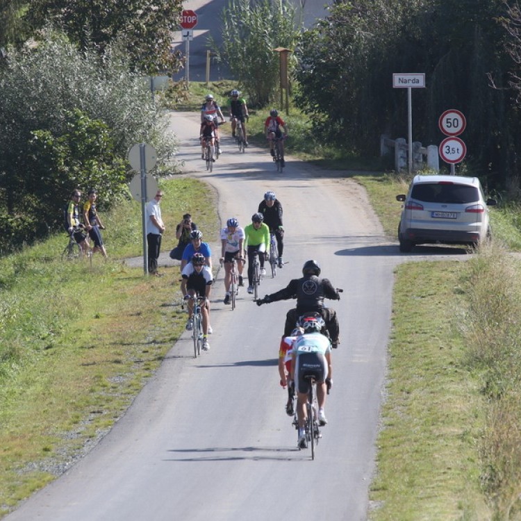 CYCLING AT-HU Epcos Cup 2014 #4595