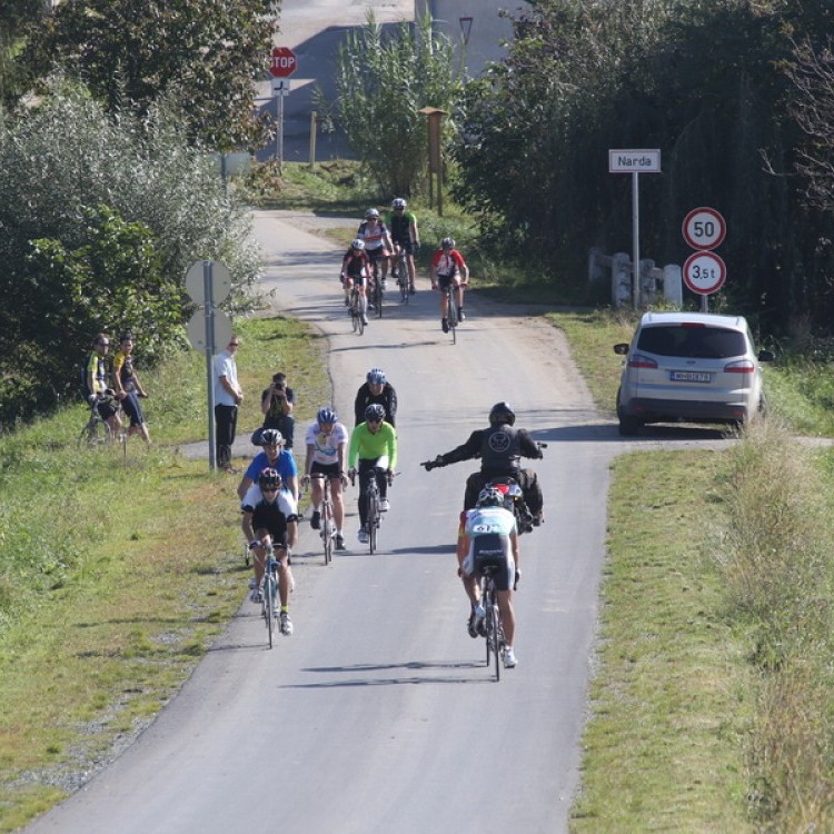 CYCLING AT-HU Epcos Cup 2014 #4596