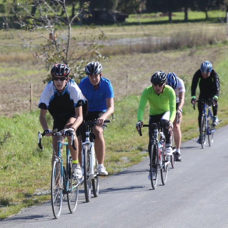 CYCLING AT-HU Epcos Cup 2014 #4600