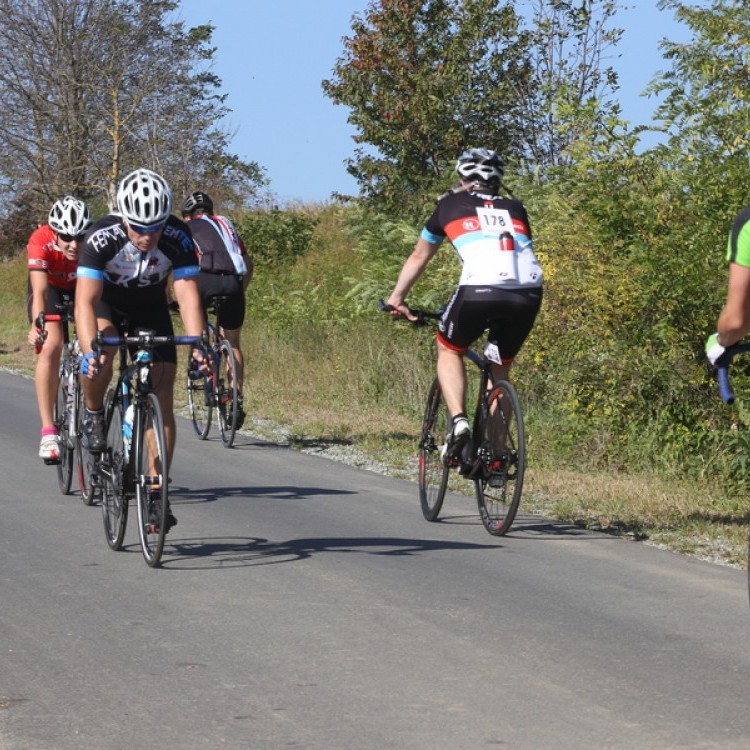 CYCLING AT-HU Epcos Cup 2014 #4613