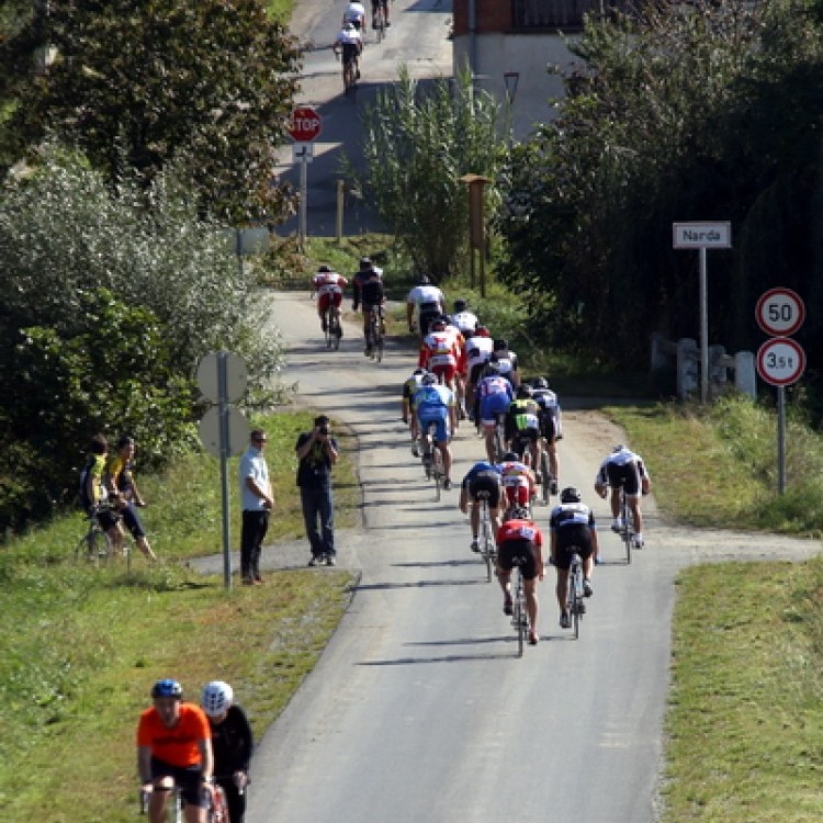 CYCLING AT-HU Epcos Cup 2014 #4615