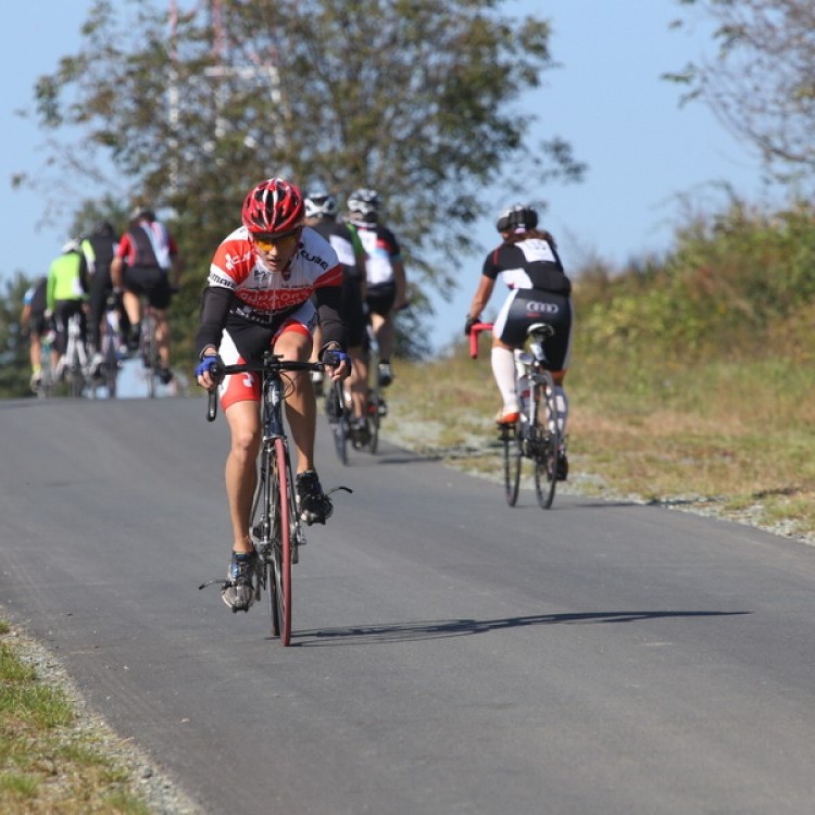 CYCLING AT-HU Epcos Cup 2014 #4616