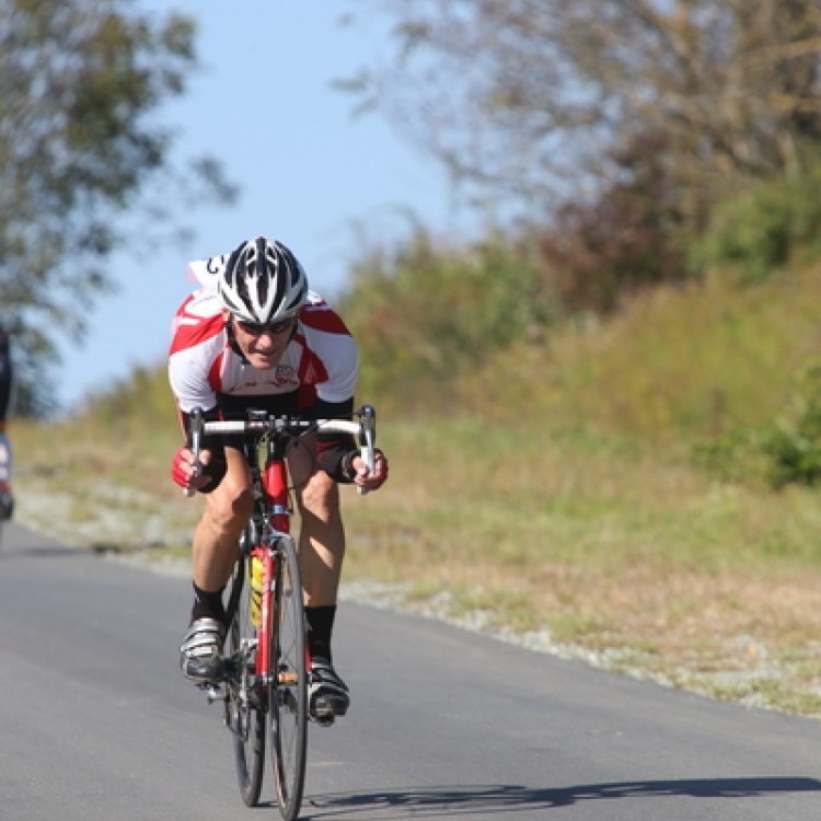 CYCLING AT-HU Epcos Cup 2014 #4618