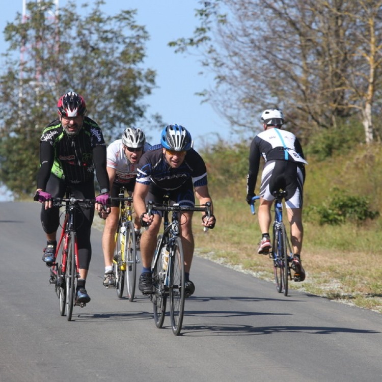 CYCLING AT-HU Epcos Cup 2014 #4633