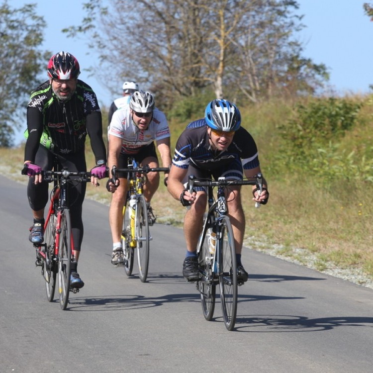 CYCLING AT-HU Epcos Cup 2014 #4634