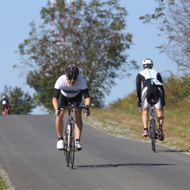 CYCLING AT-HU Epcos Cup 2014 #4635