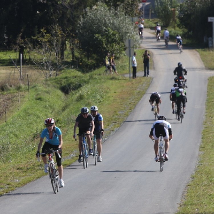 CYCLING AT-HU Epcos Cup 2014 #4637