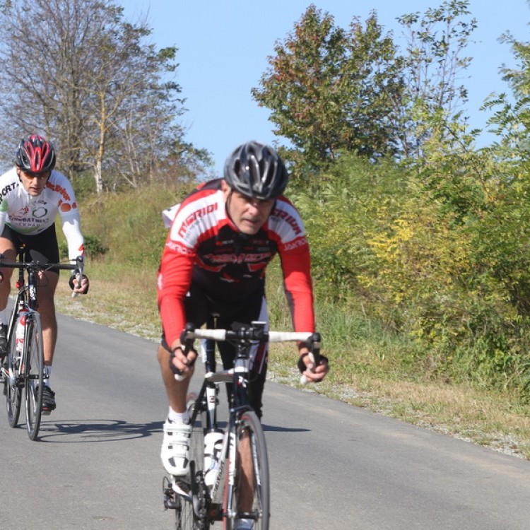 CYCLING AT-HU Epcos Cup 2014 #4638