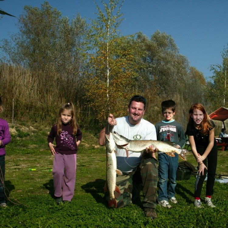 Fishfarm Zsennye #798