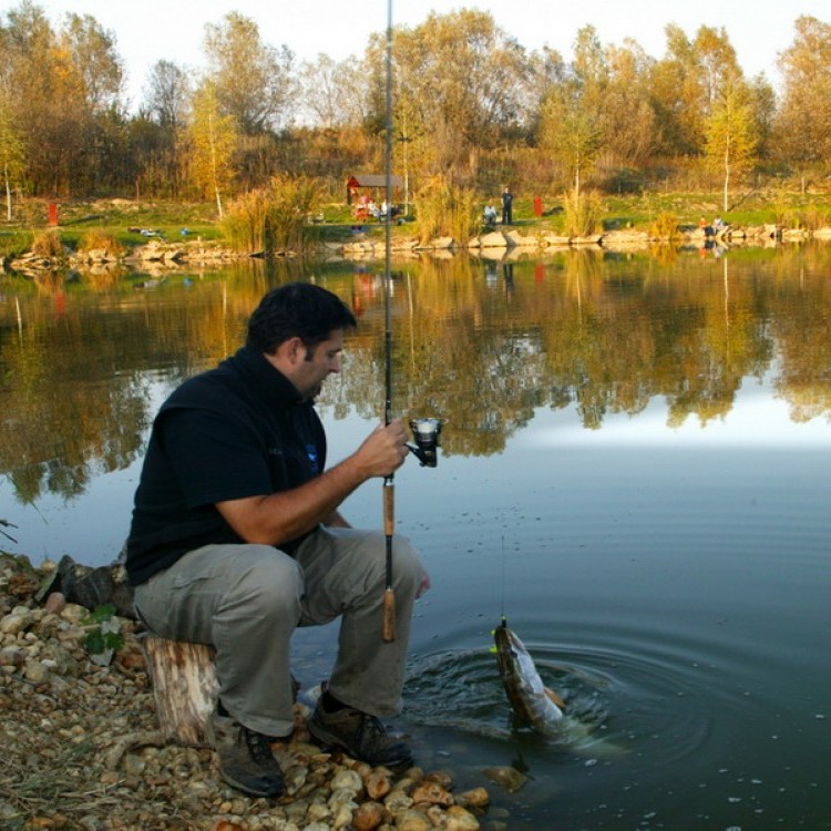 Fishfarm Zsennye #803