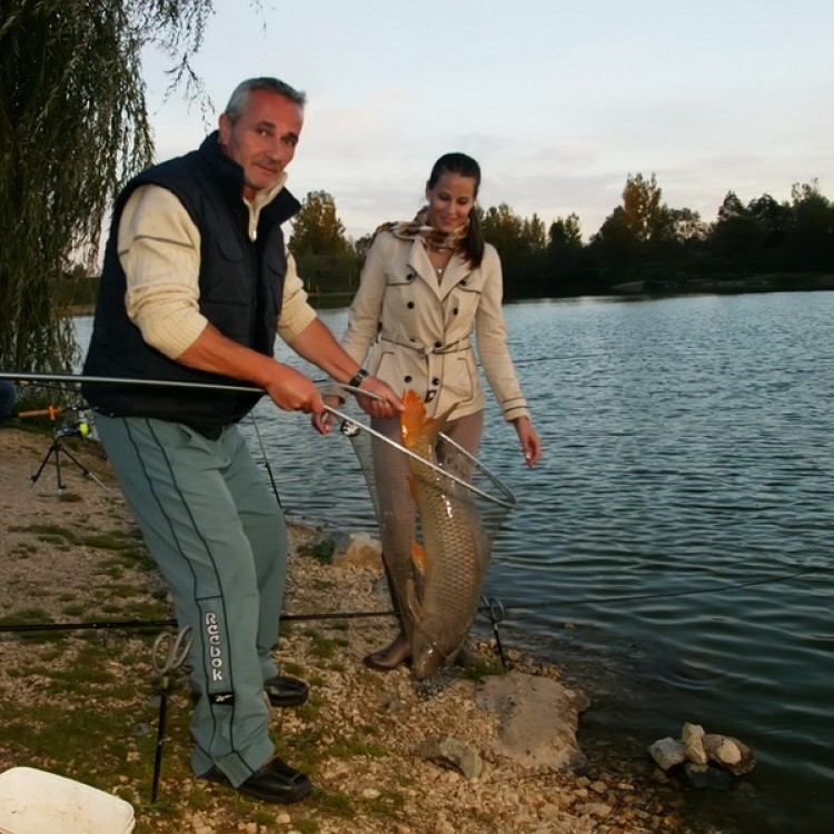 Fishfarm Zsennye #834