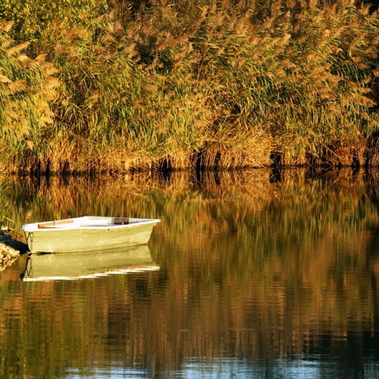 Fishfarm Zsennye #841