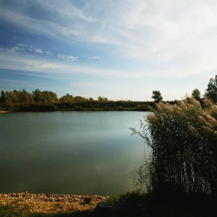 Fishfarm Zsennye #850